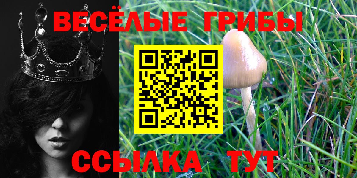 Галлюциногенные грибы GOLDEN TEACHER Красноуфимск