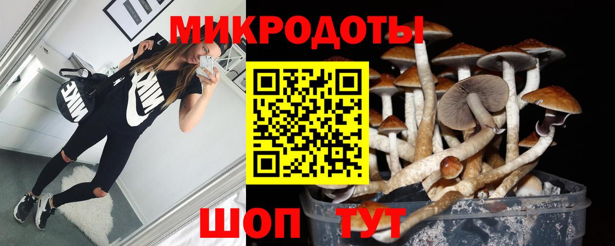 Красноуфимск  Галлюциногенные грибы ЛСД  Вход с VPN 